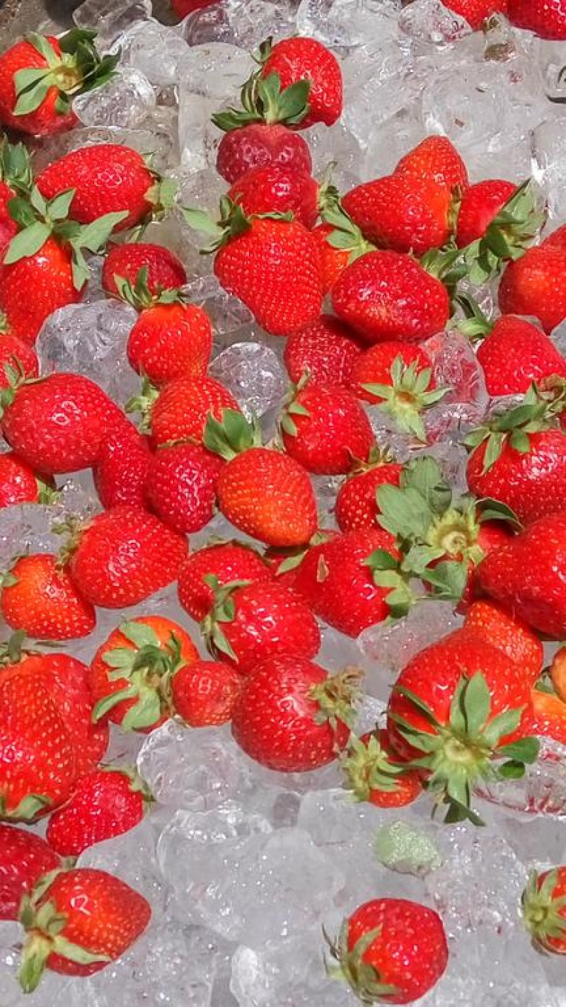 Hotel Filoxenia - Снимка 5