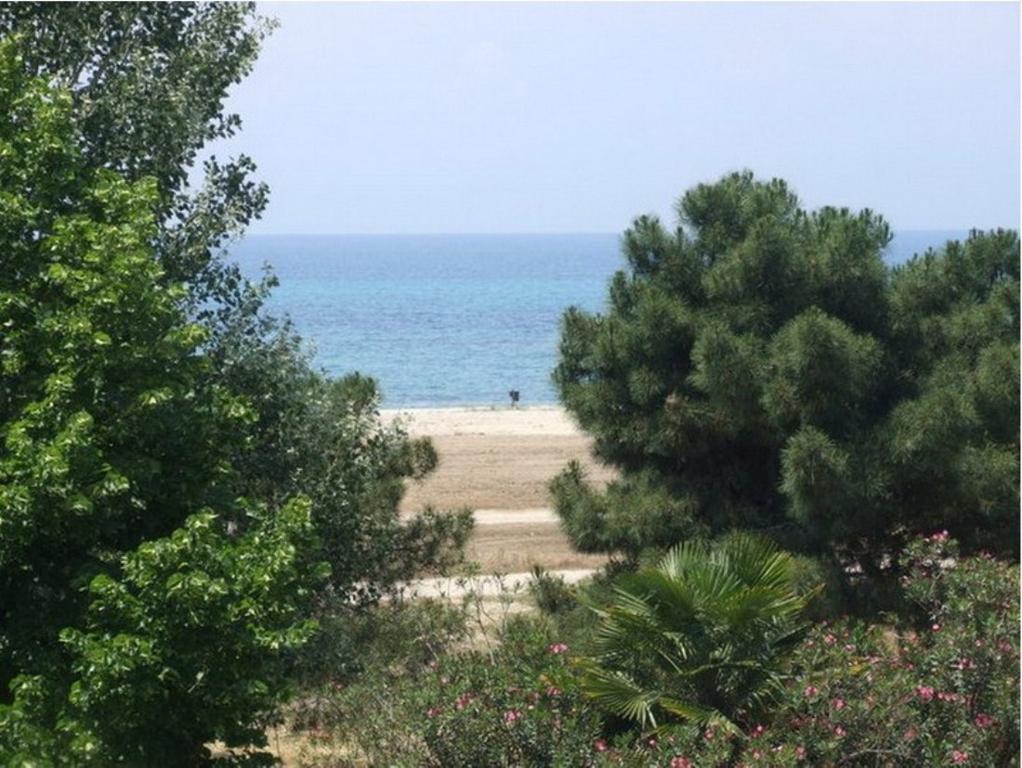 Септемврийска почивка за ДВАМА на първа линия в Неа Ираклия! Нощувка + шезлонг на плажа от хотел Filoxenia Халкидики, Гърция! - Снимка 6