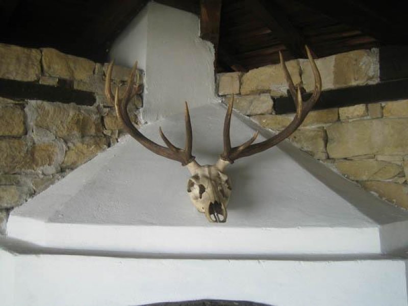 Хотел Бохеми - Снимка 10