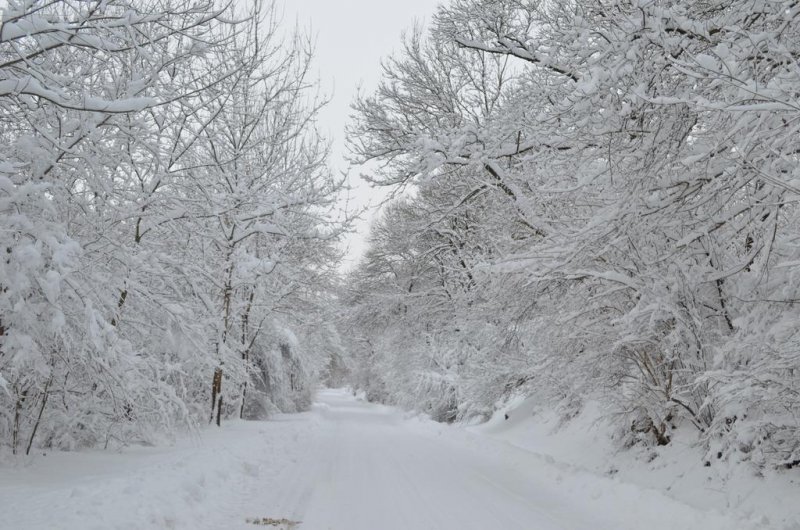 Комплекс Манастирски Чифлик - Снимка 8