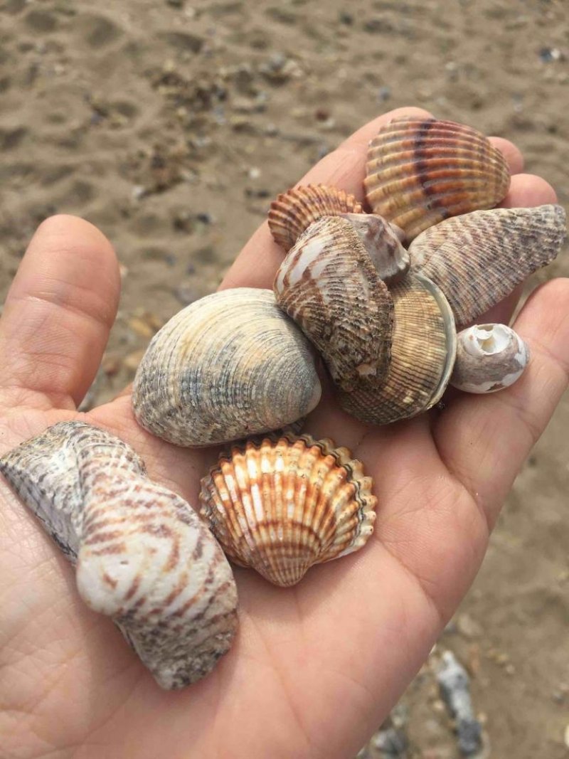 Grecotel Grand Hotel Egnatia - Снимка 8