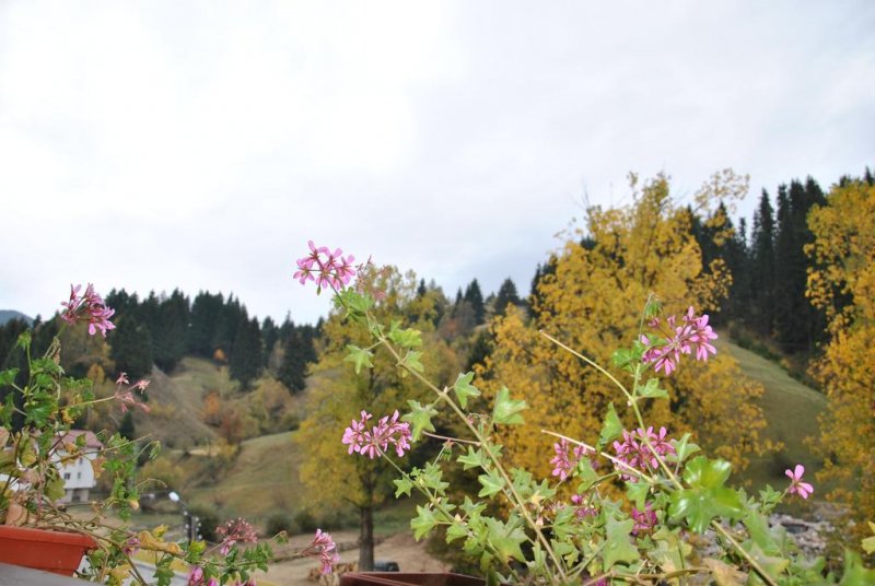 Семеен хотел Шоки - Снимка 2