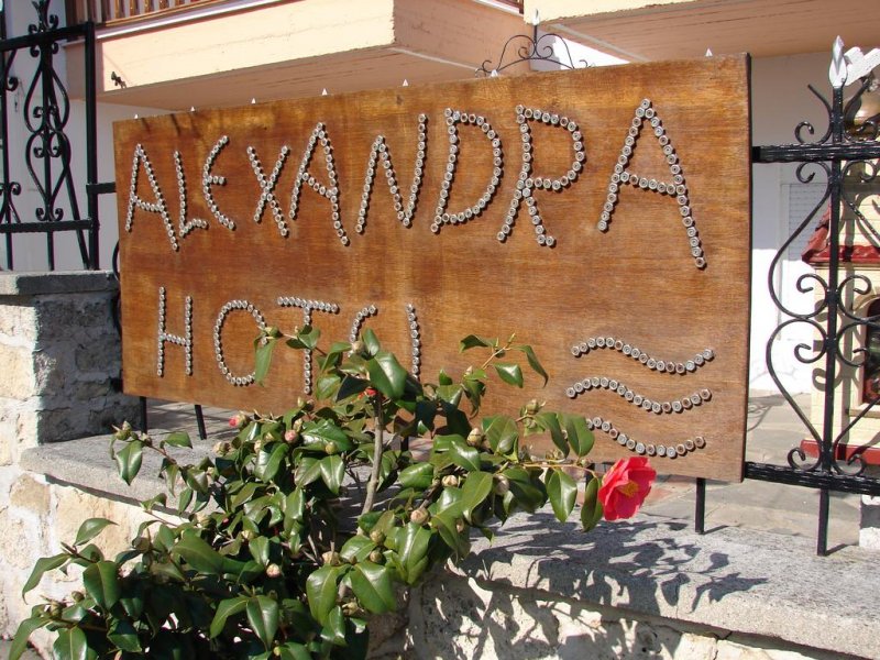 Hotel Alexandra - Снимка 9