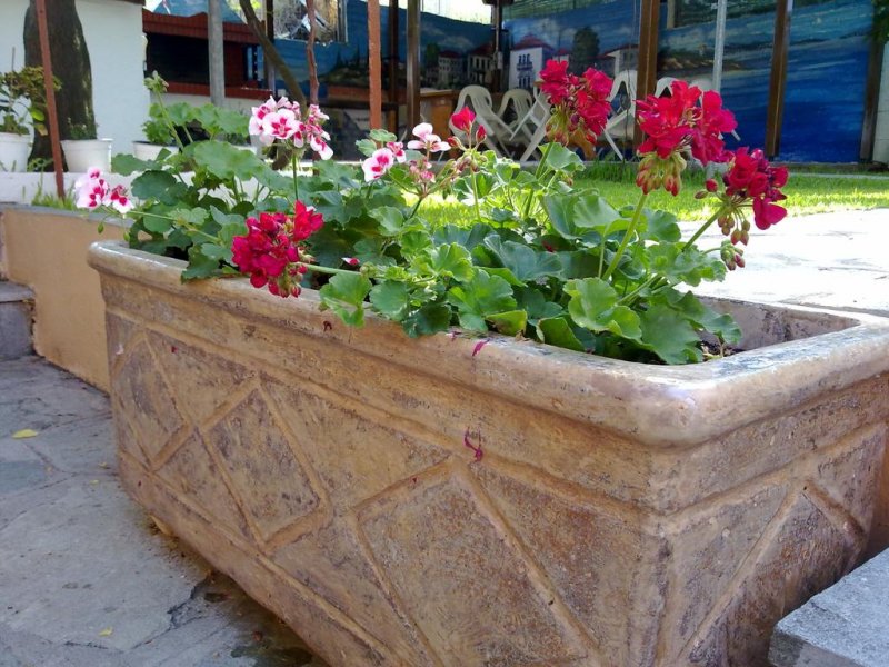 Hotel Alexandra - Снимка 7