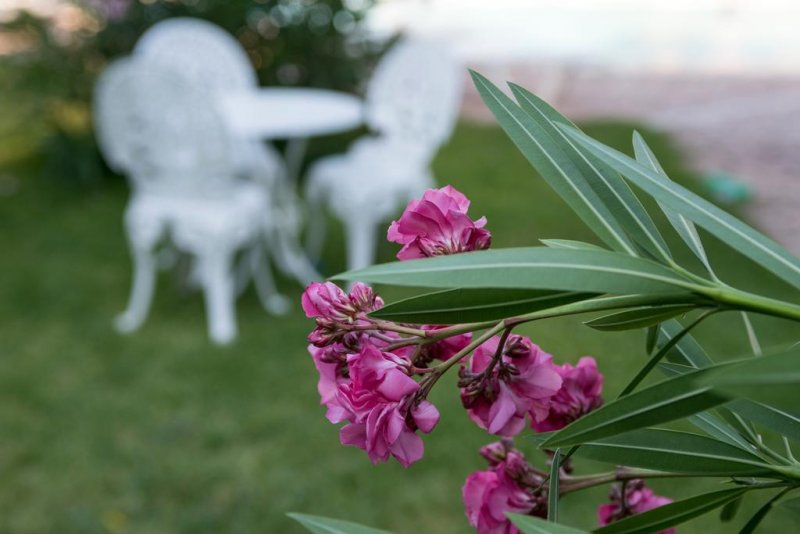 Corfu Senses Resort - Снимка 10