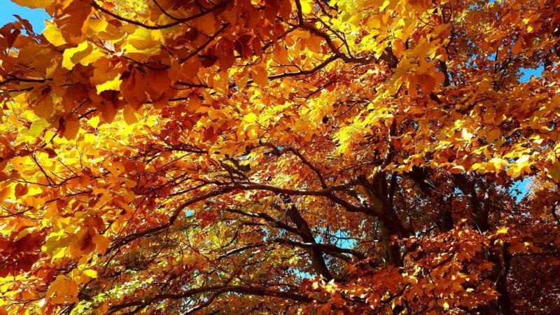 Комплекс Еко Рай Реката - Снимка 10