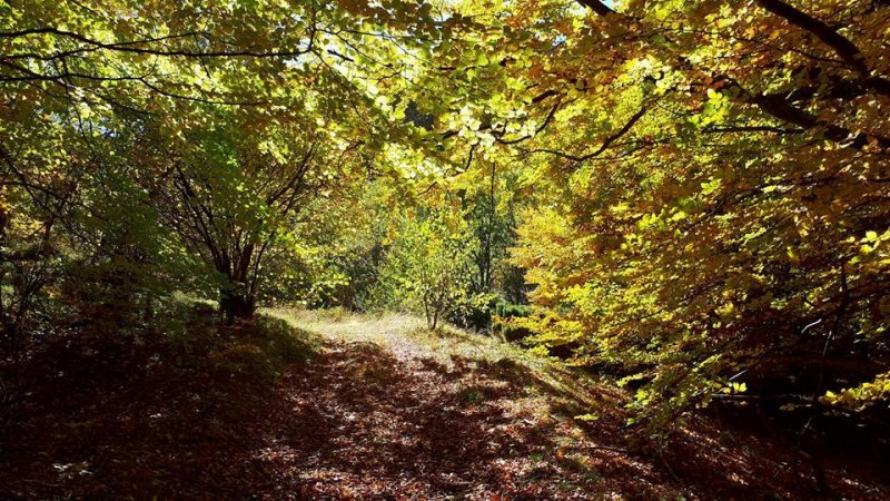 Комплекс Еко Рай Реката - Снимка 1