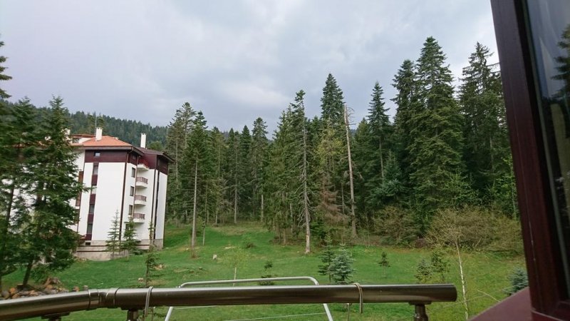 Апартаменти ТЕС Флора - Снимка 4