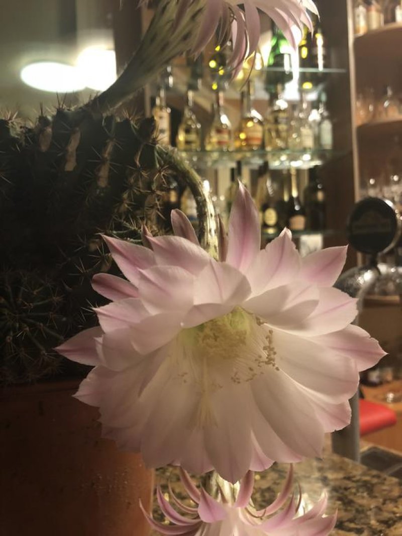 Хотел Съни Парадайз - Снимка 1