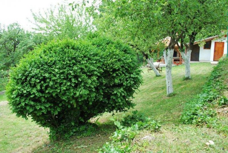 Вила Терес - Снимка 4