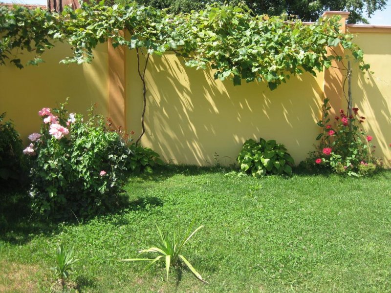 Семеен хотел Ив - Снимка 3