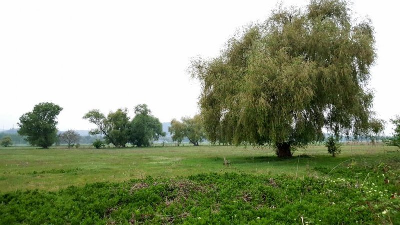 Хотел Царска Баня - Снимка 11