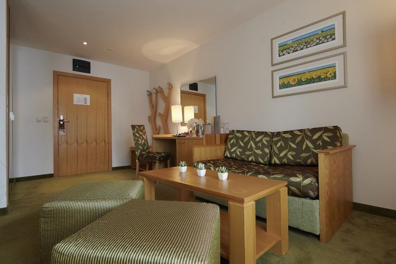 Хотел Феста Чамкория - Снимка 4