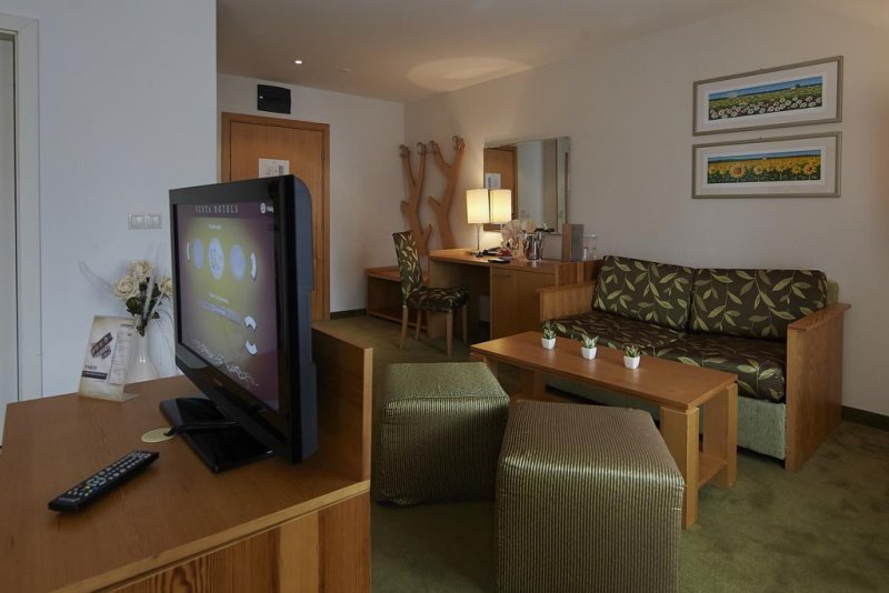 Хотел Феста Чамкория - Снимка 9