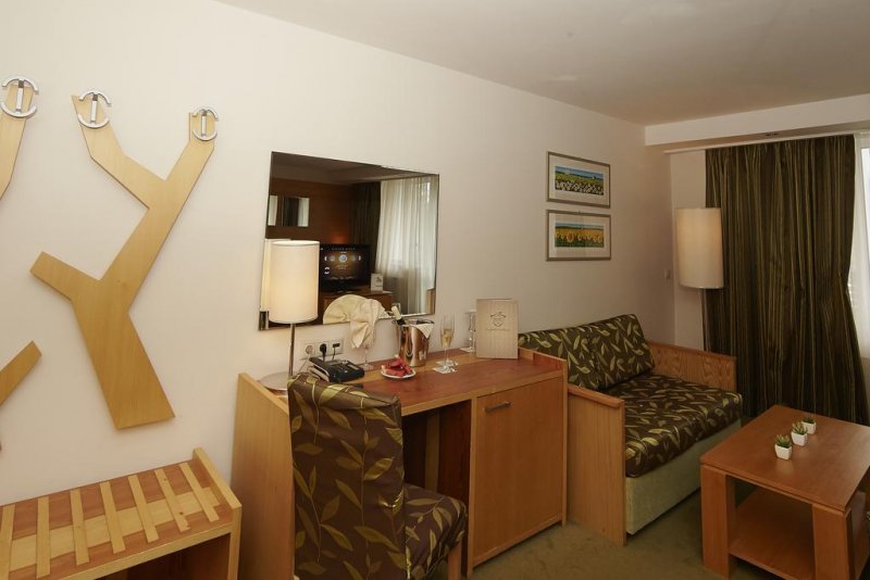 Хотел Феста Чамкория - Снимка 5