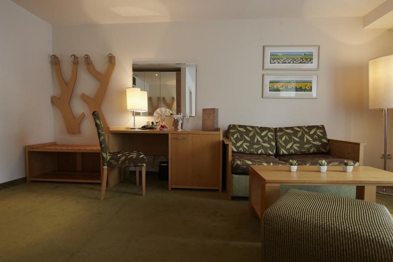 Хотел Феста Чамкория - Снимка 3