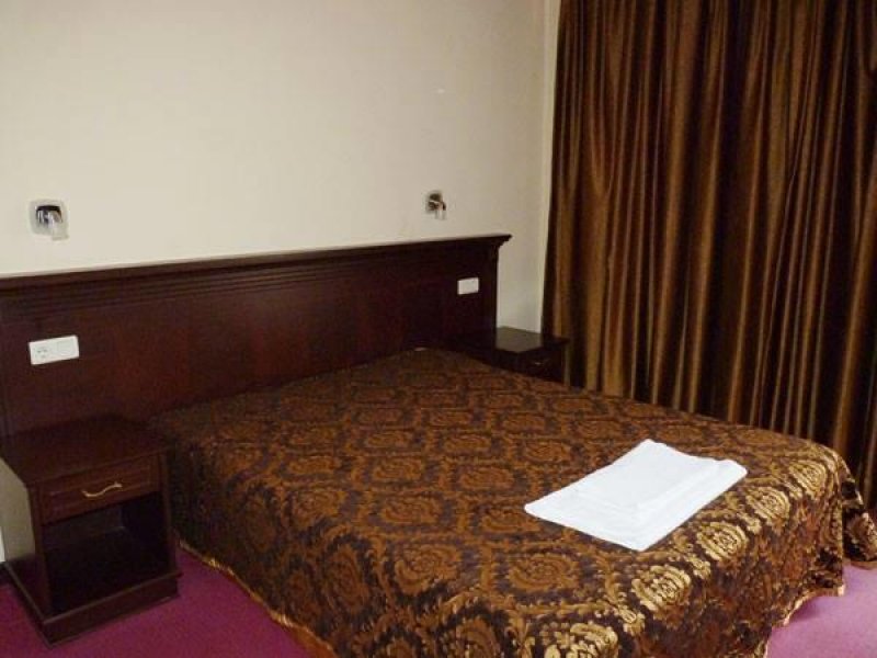 Хотел Елис - Снимка 4