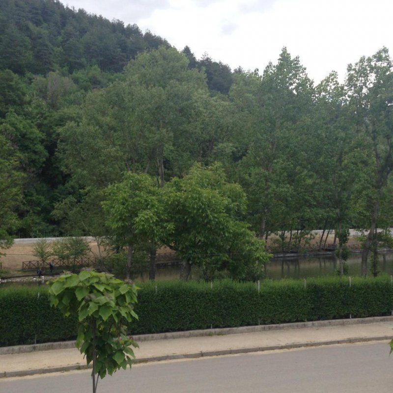 Хотел Елис - Снимка 9