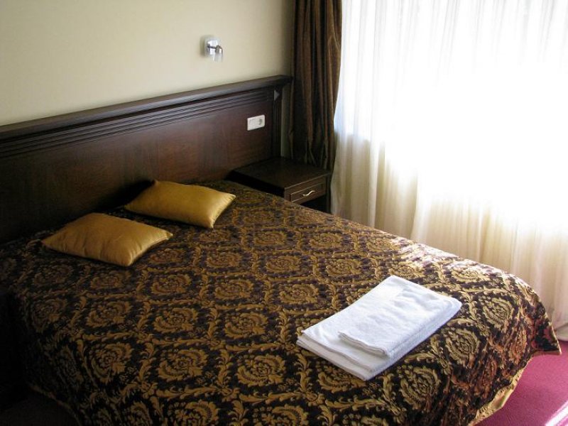 Хотел Елис - Снимка 10