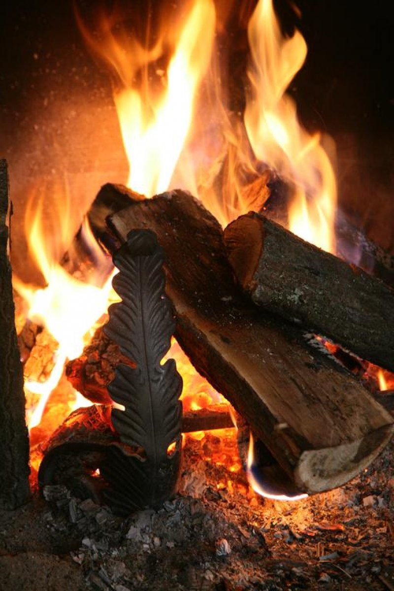 Хотел Феста Уинтър Палас - Снимка 5