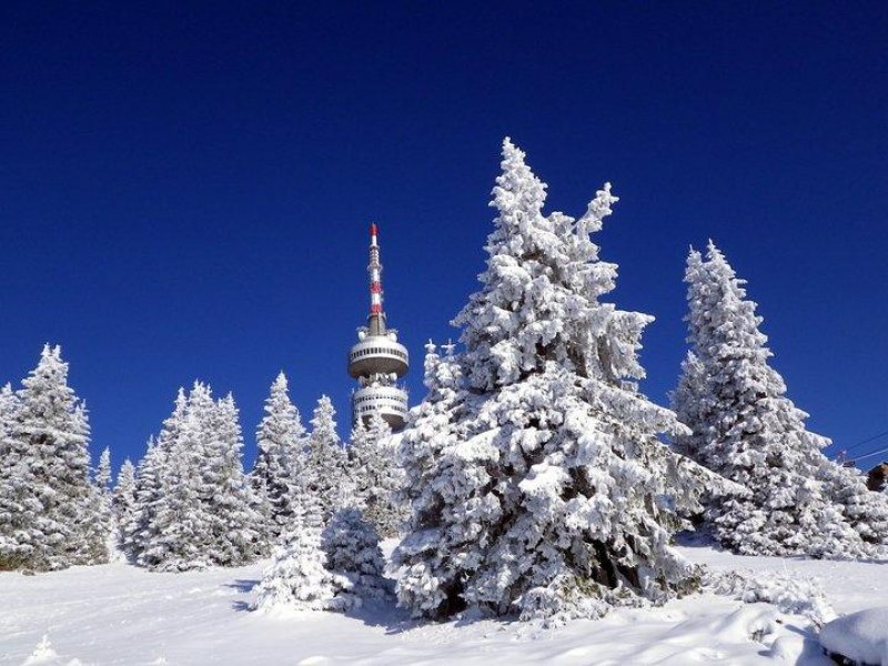 Гранд Манастира Апартаменти - Снимка 7