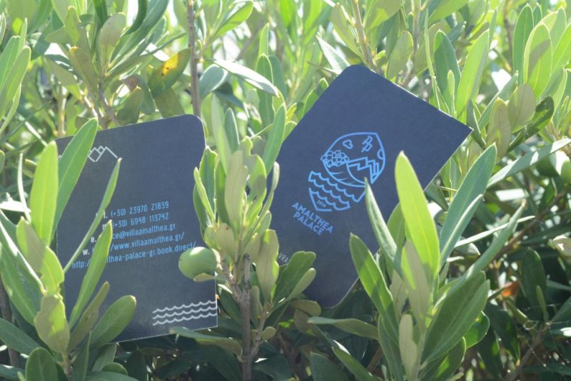 Amalthea Palace - Снимка 1