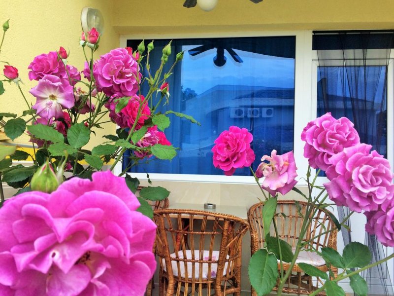 Вилно селище Жасмин - Снимка 4