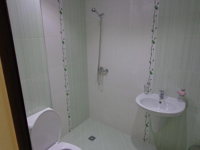 Вили Свети Николова - Снимка 10