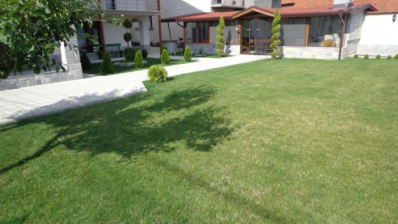 Вили Свети Николова - Снимка 9