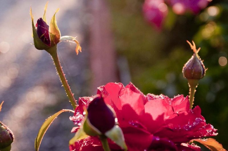 Sun Beach Hotel - Снимка 1