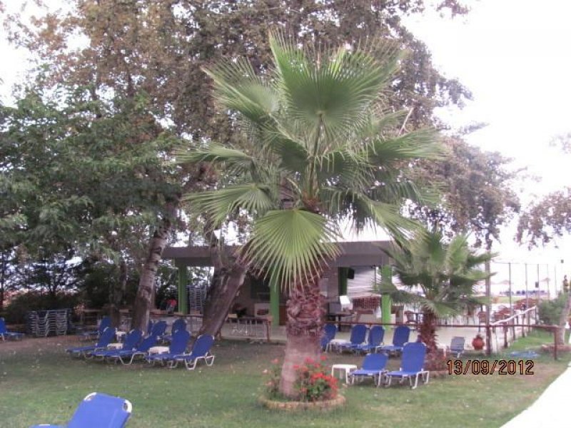 Sun Beach Hotel - Снимка 9