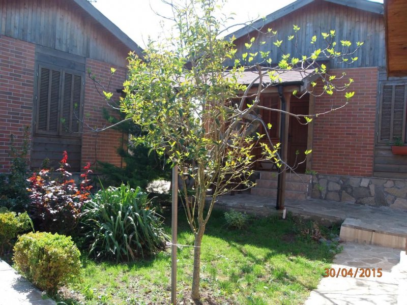 Вили и бунгала Панорама - Снимка 0