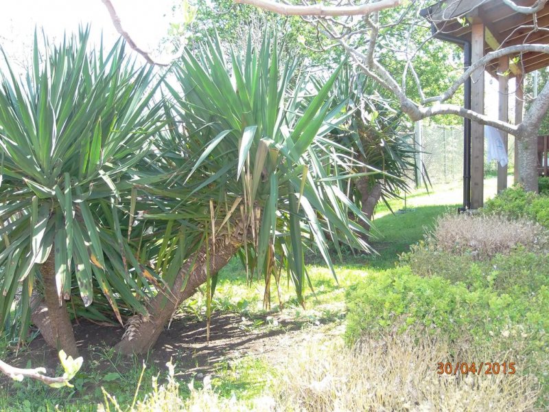 Вили и бунгала Панорама - Снимка 4