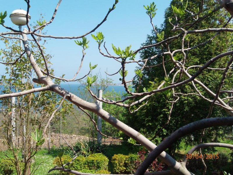 Вили и бунгала Панорама - Снимка 11