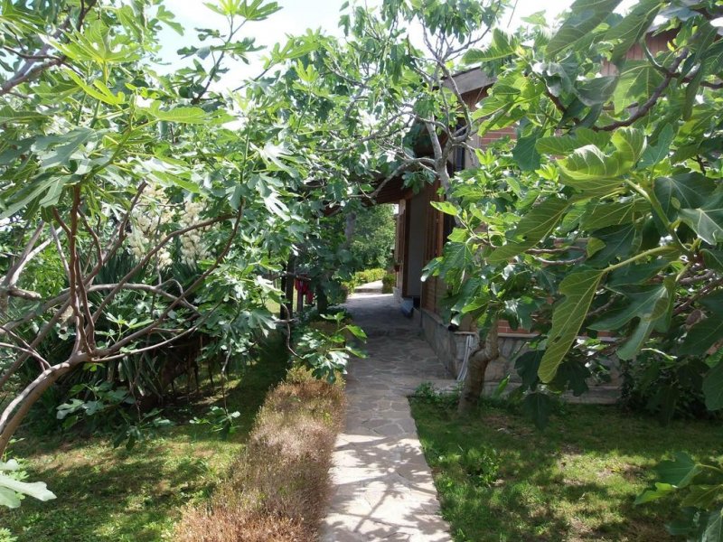 Вили и бунгала Панорама - Снимка 2