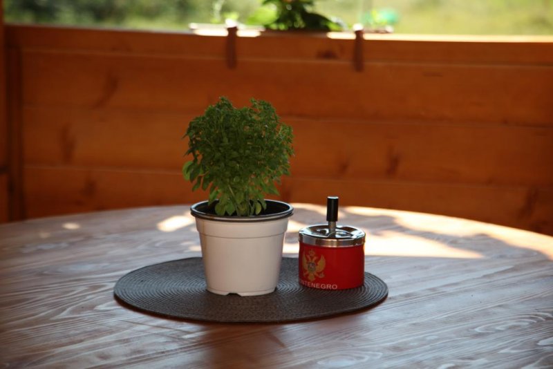 Hotel Vetprom  - Снимка 5