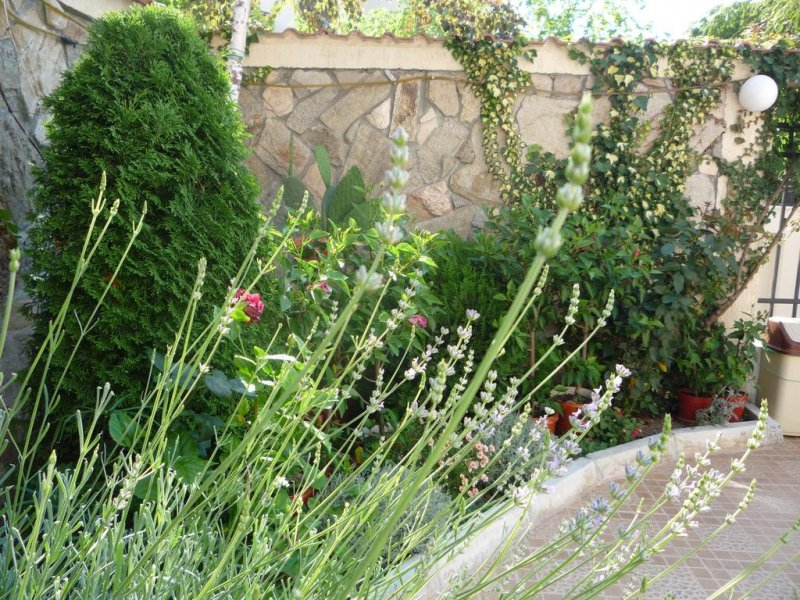 Хотел Бреза - Снимка 10