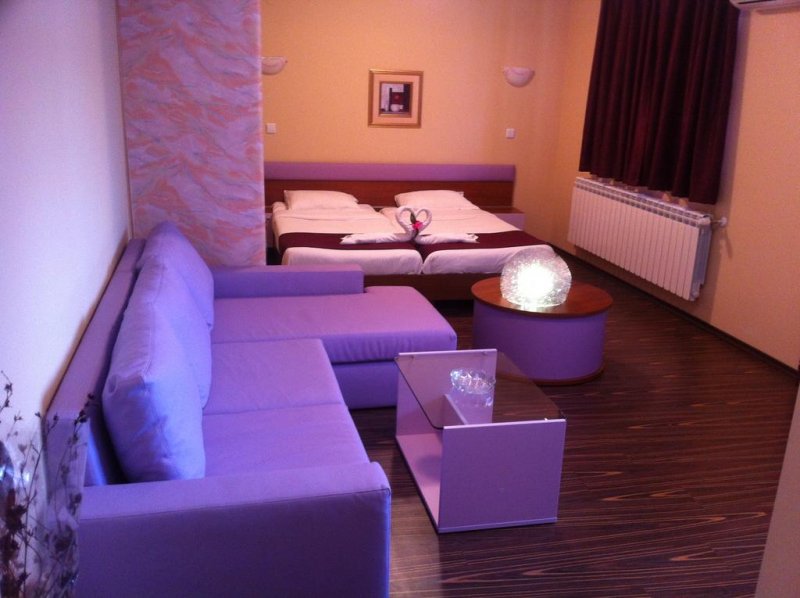 Хотел Русенски Лом - Снимка 9