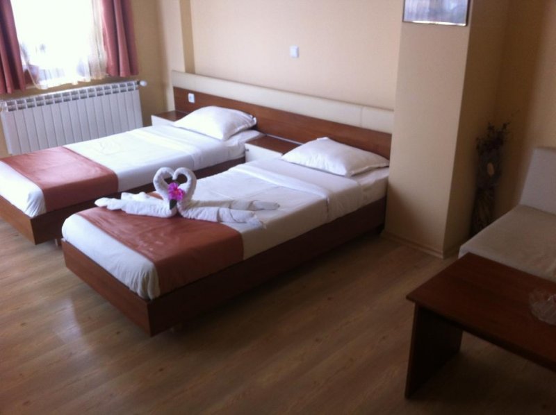 Хотел Русенски Лом - Снимка 7