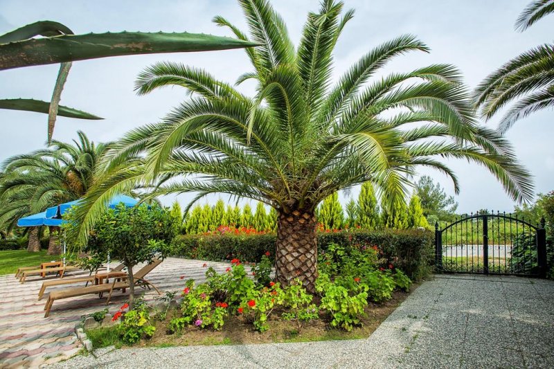 Port Marina - Снимка 4