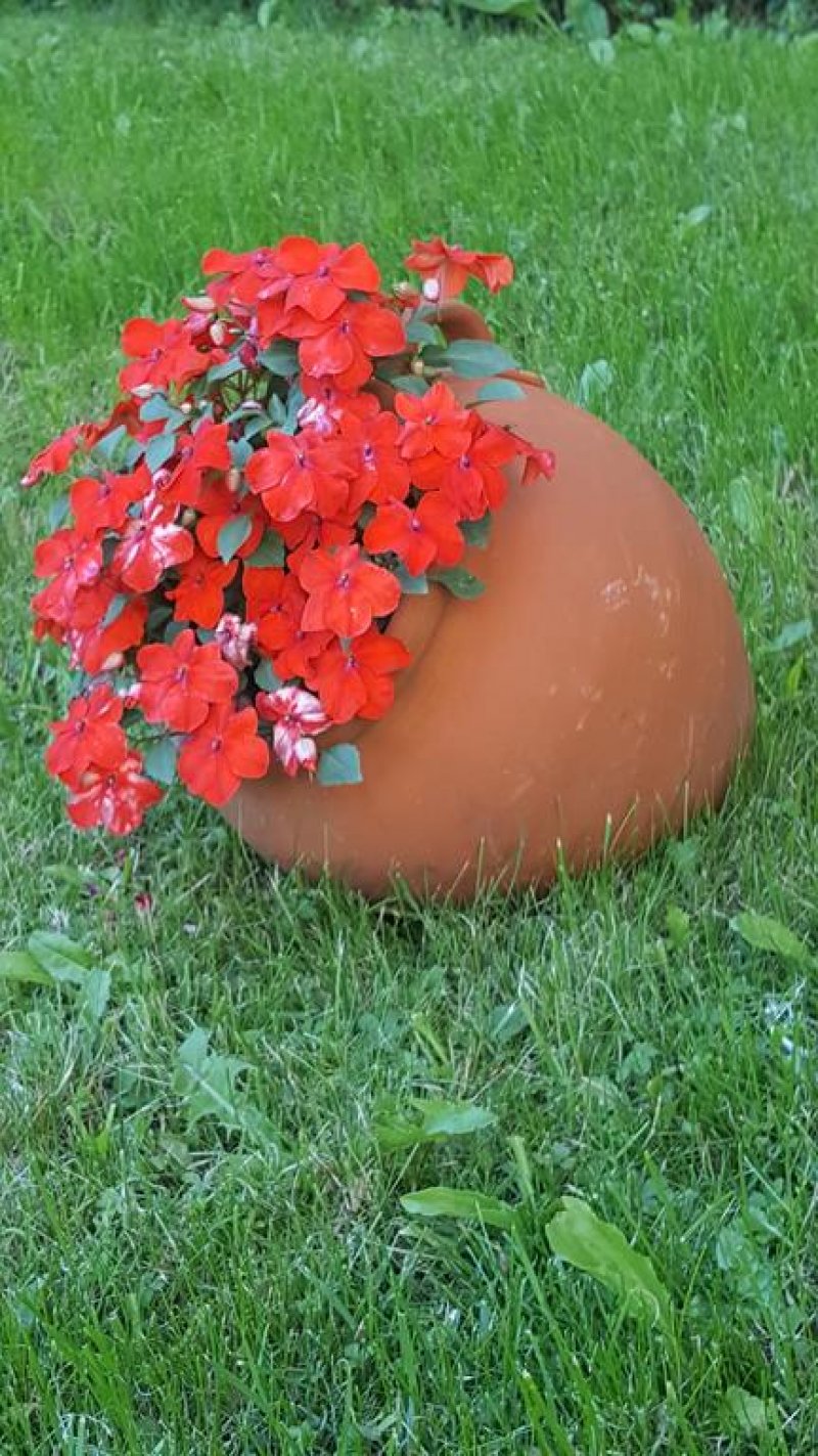 Хотел Северина - Снимка 11