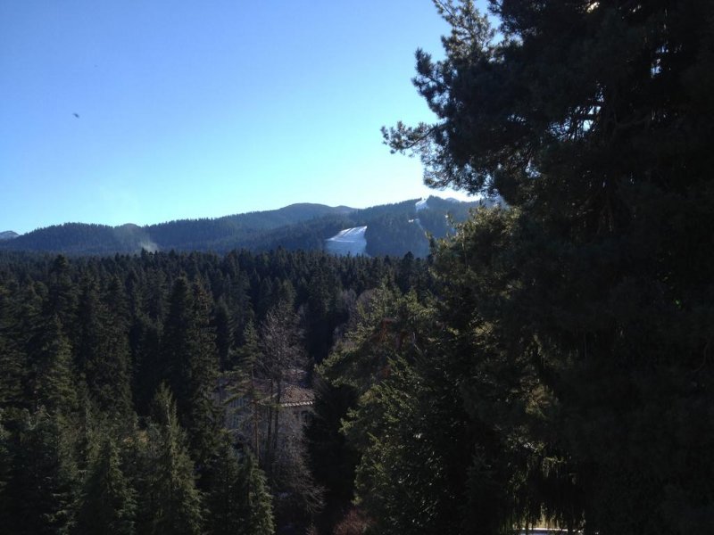 Хотел Бор - Снимка 5