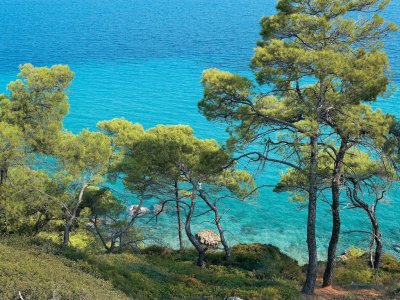 Grecotel Margo Bay and Club Turquoisel (ex. Pella Beach) - Снимка 6