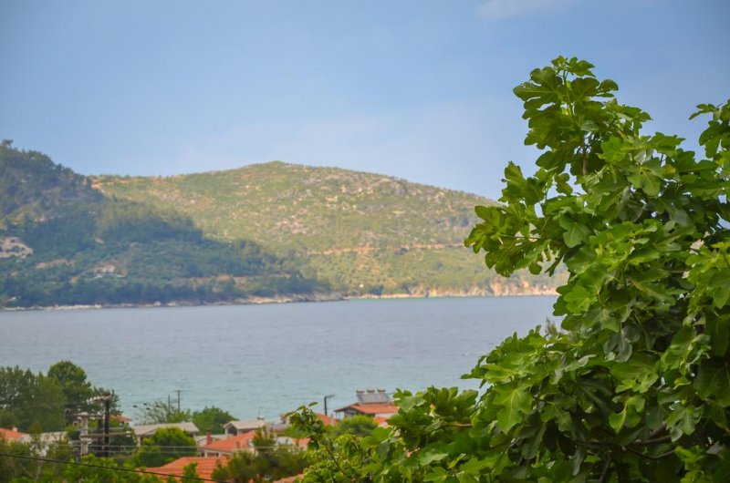 Ifigenia Apartments - Снимка 3