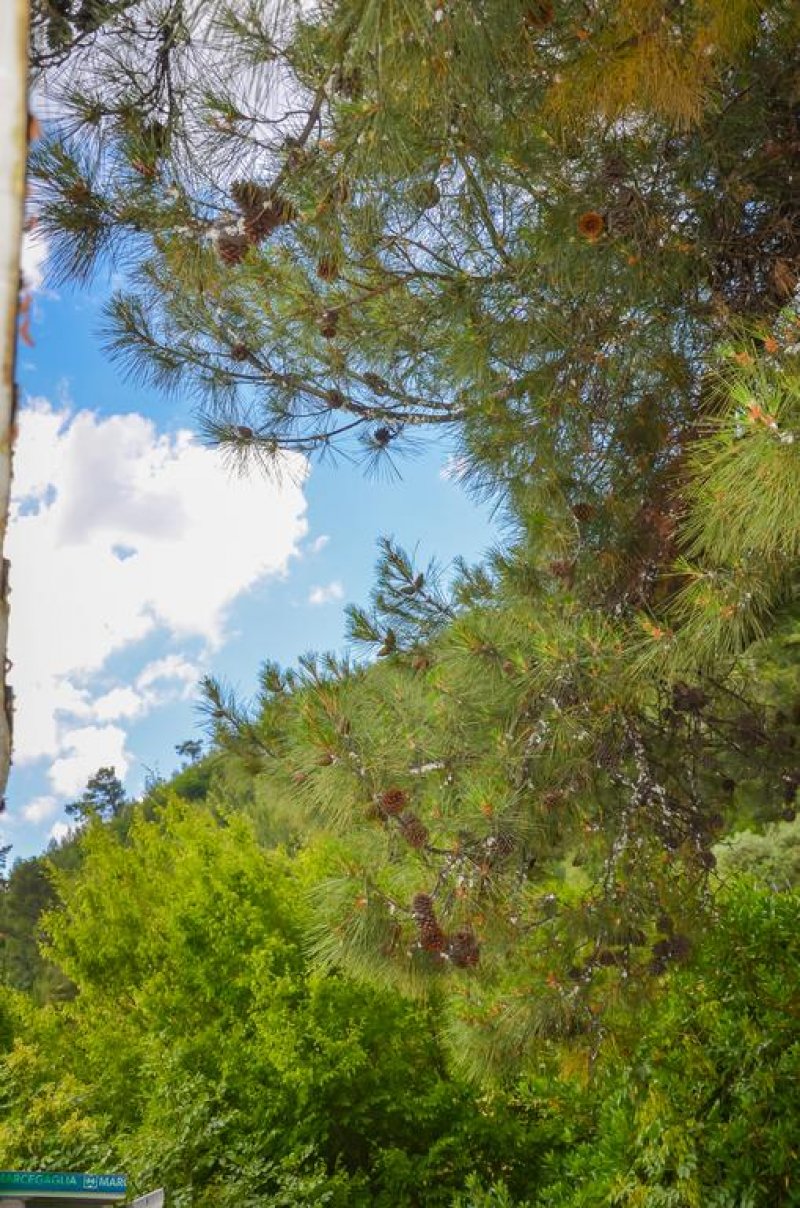 Ifigenia Apartments - Снимка 7