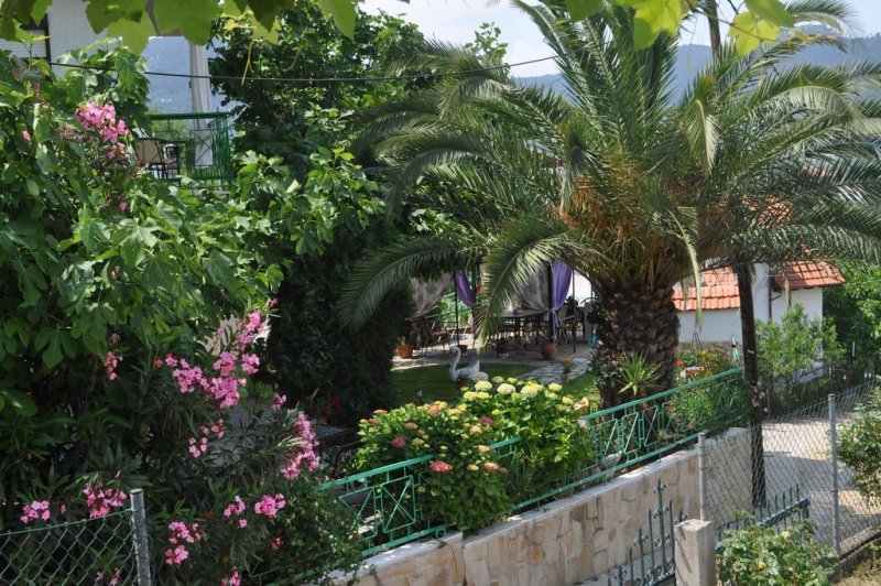 Ifigenia Apartments - Снимка 11