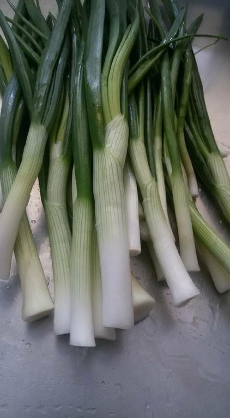 Еко хотел Букор Щепи - Снимка 3