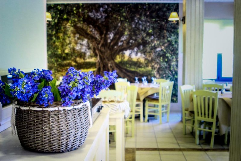 Venus Beach Hotel - Снимка 4