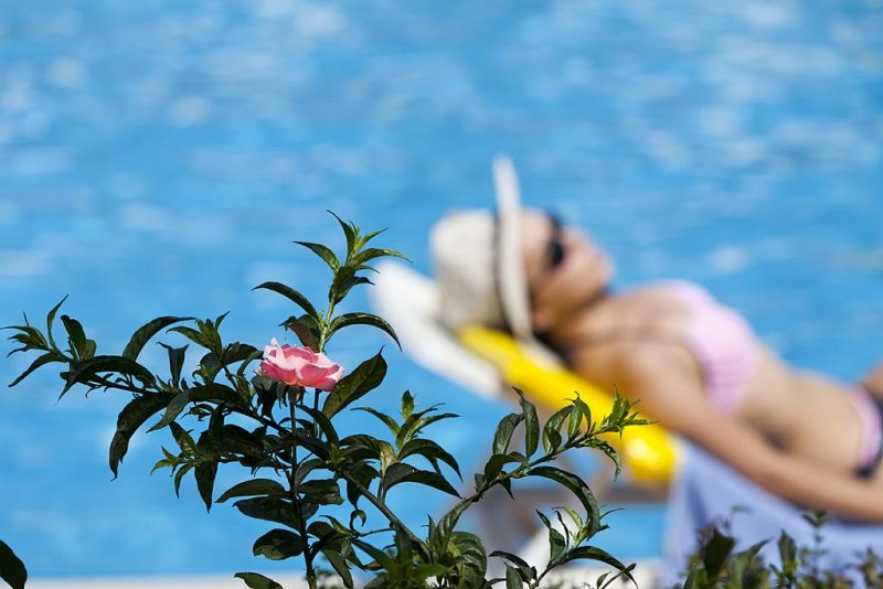 PGS Rose Residence Beach - Снимка 5