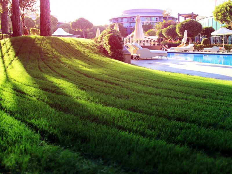 Calista Luxury Resort - Снимка 8